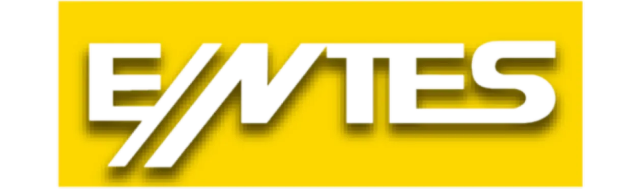 11 diseltek